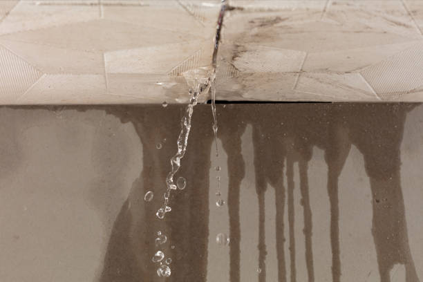 Professional Flood Damage Cleanup technician working in Gurley, AL